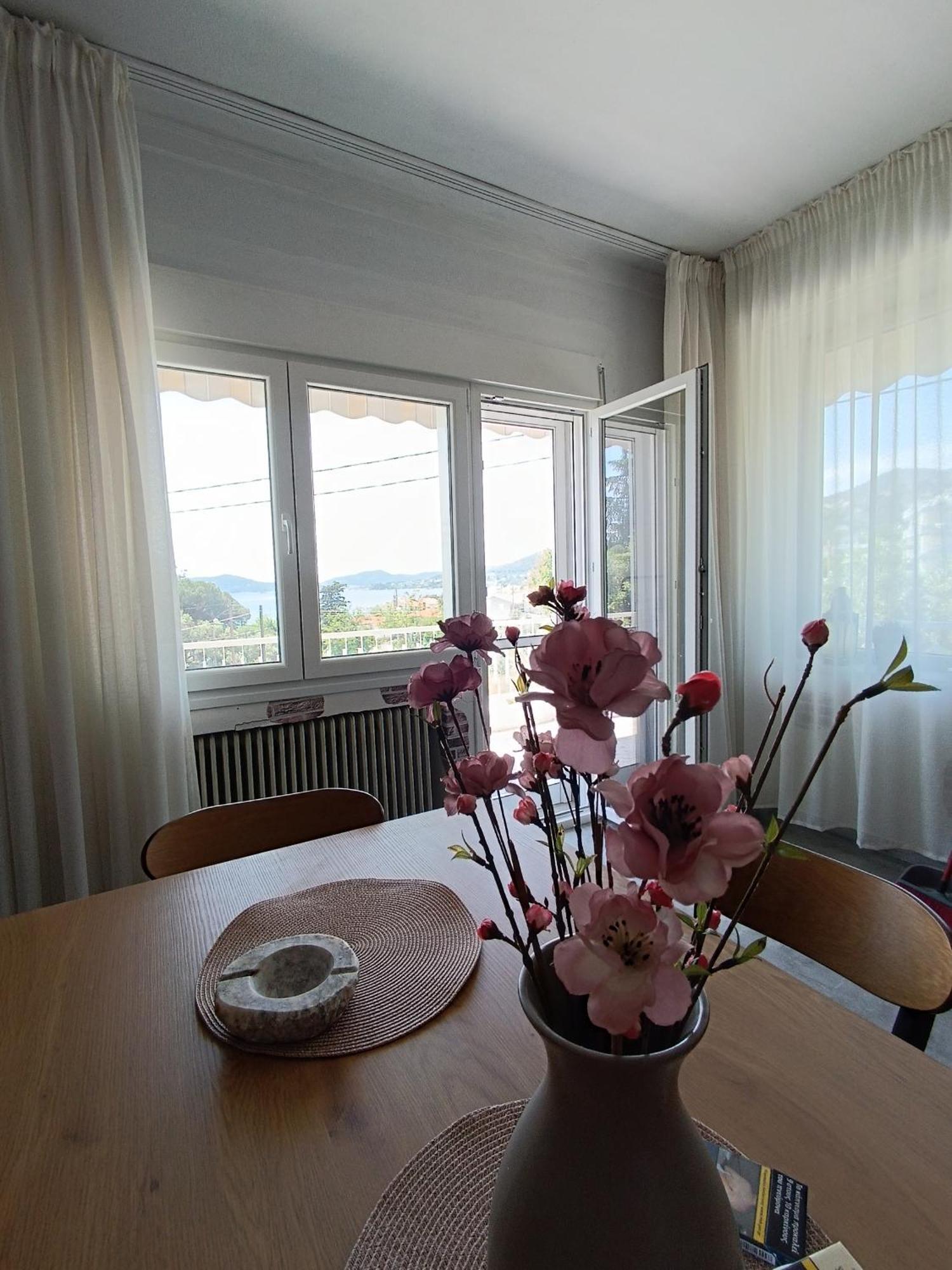 Sea View Palio Apartment PalaiónTsiflíkion エクステリア 写真